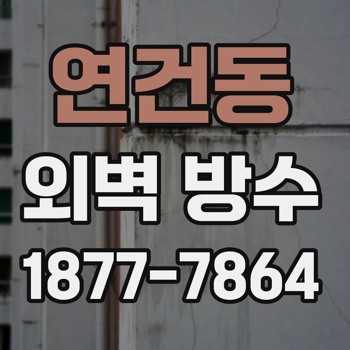 연건동 외벽 방수