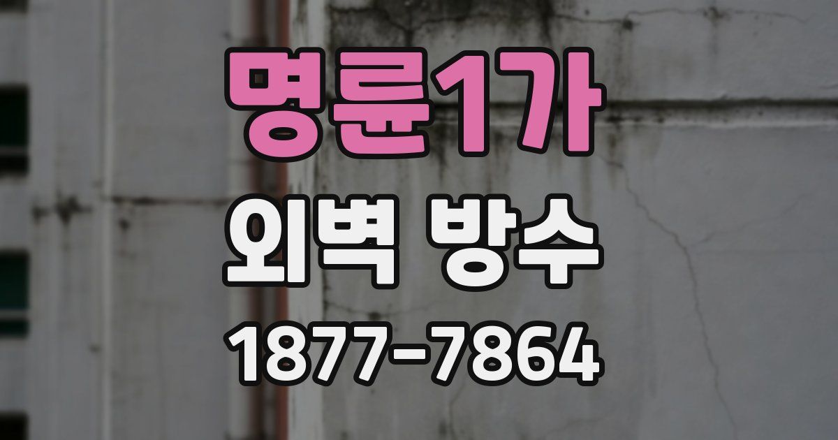 명륜1가 외벽 방수