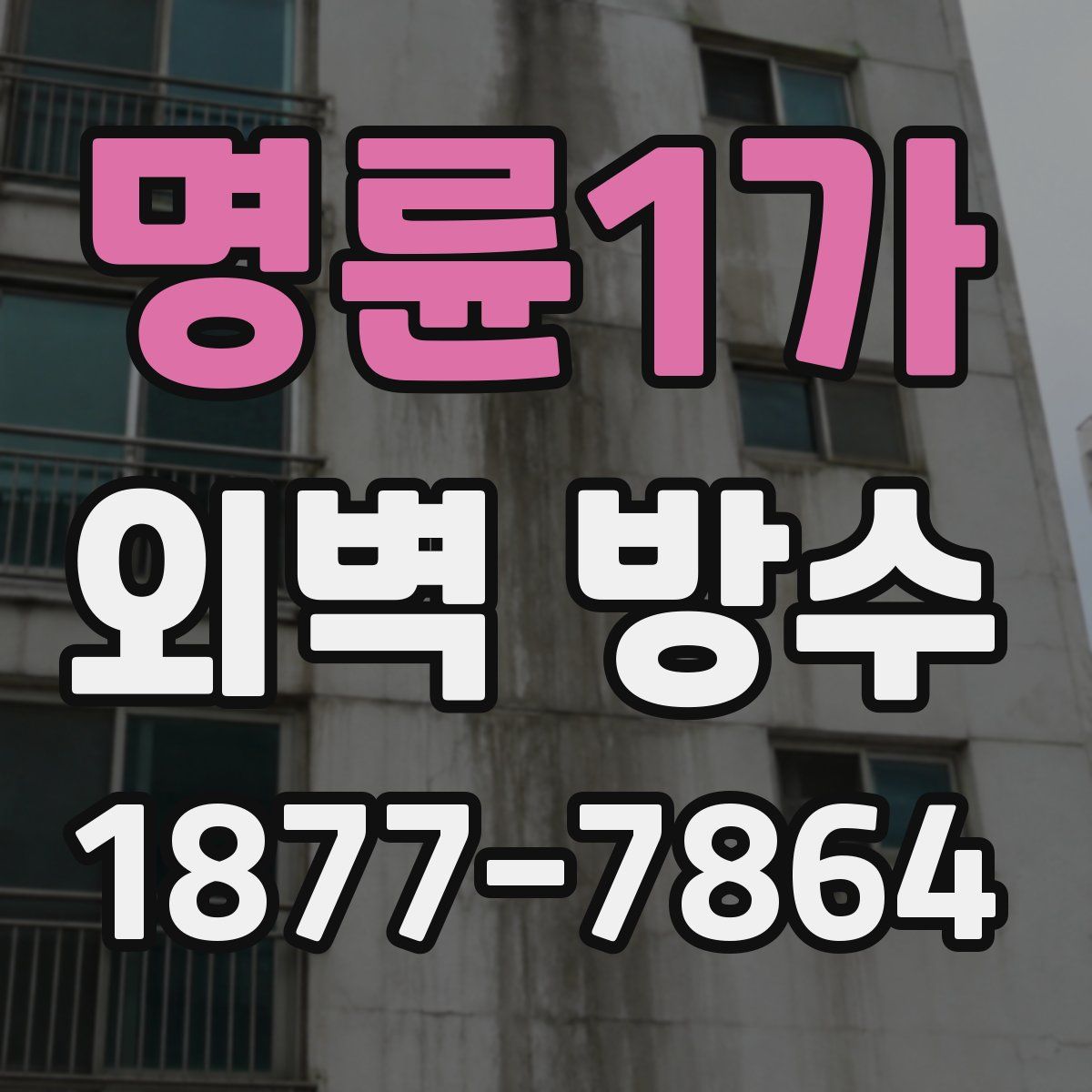 명륜1가 외벽 방수