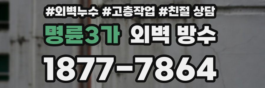 명륜3가 외벽 방수