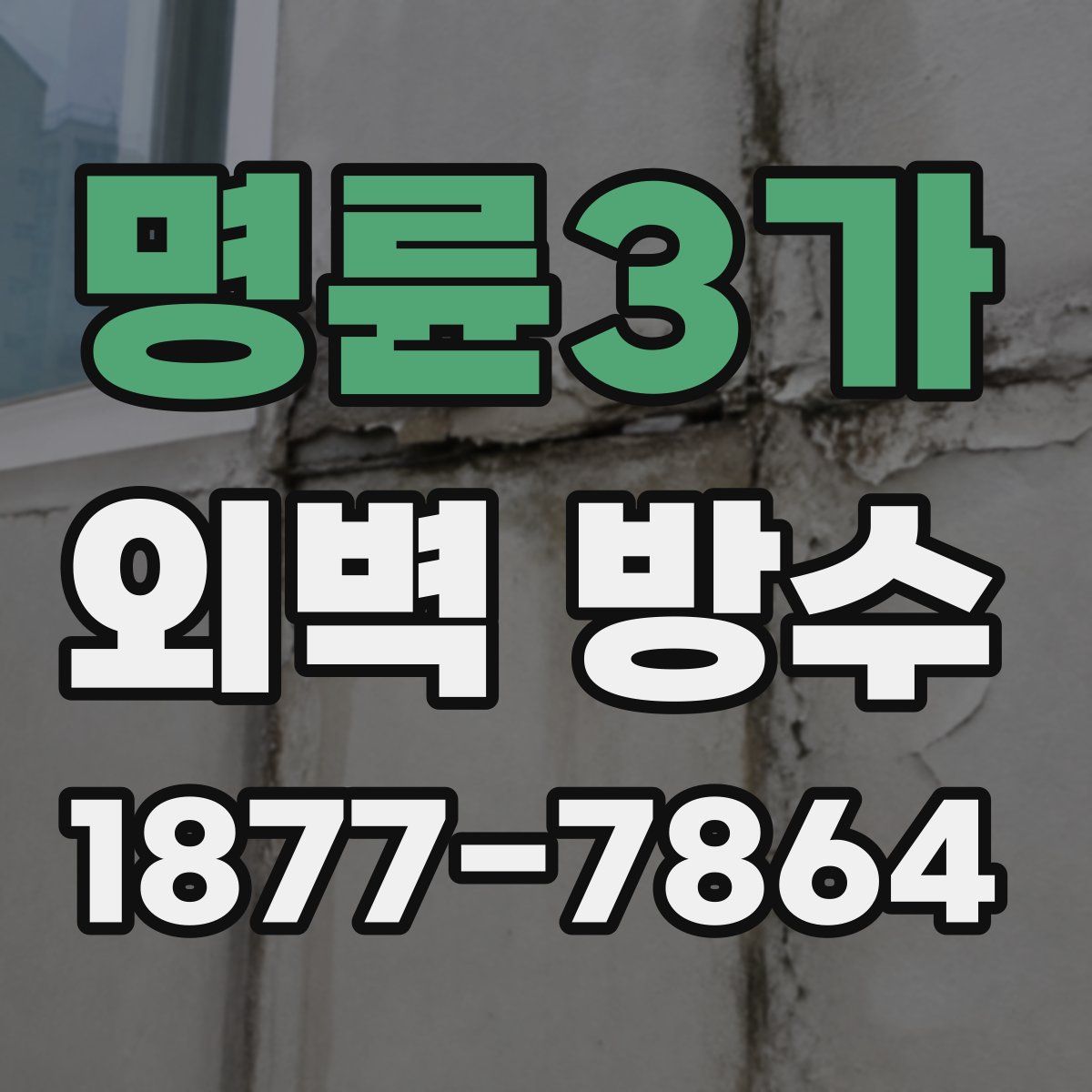 명륜3가 외벽 방수