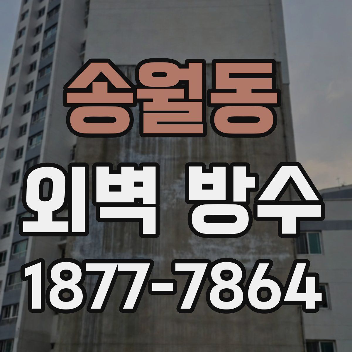송월동 외벽 방수