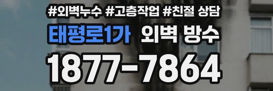 태평로1가 외벽 방수