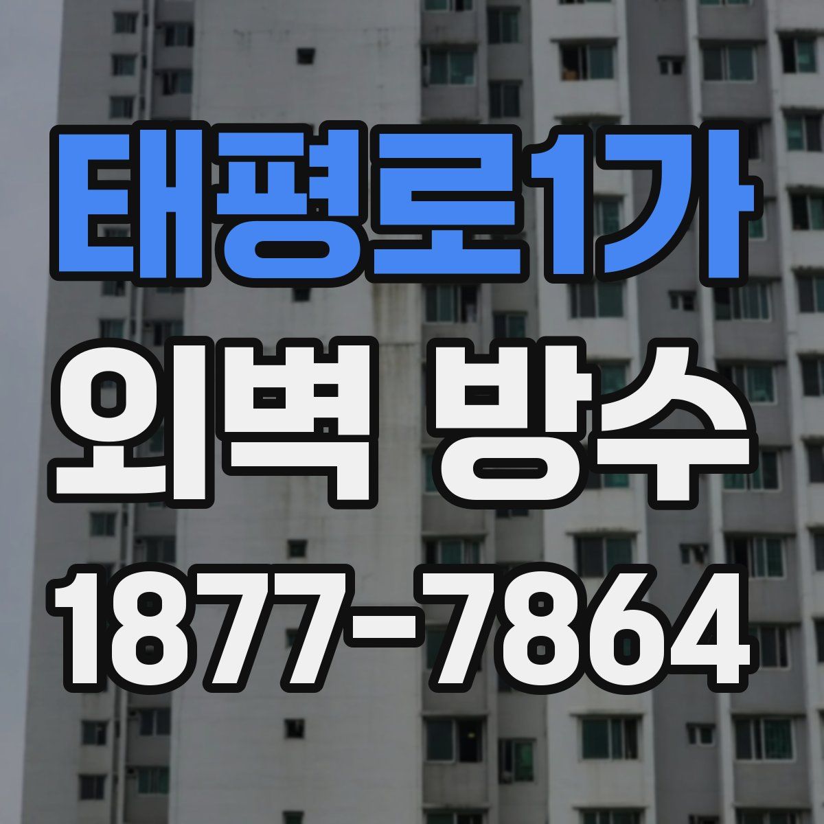 태평로1가 외벽 방수