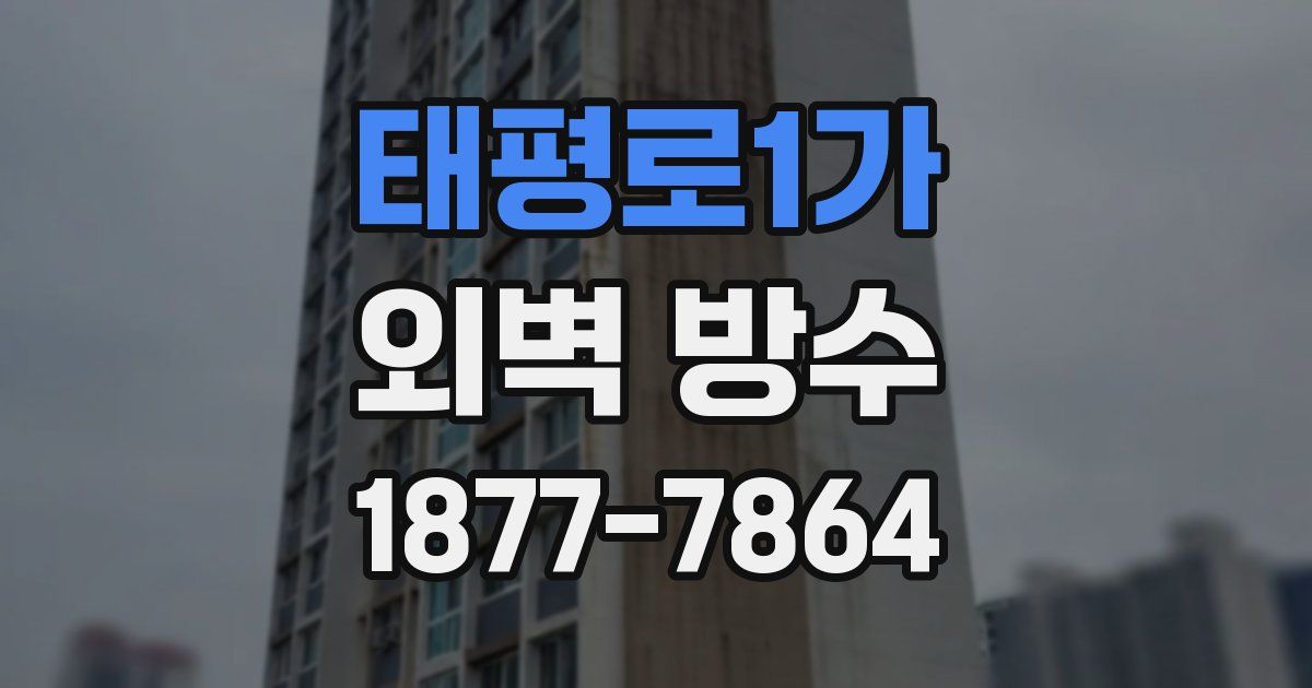 태평로1가 외벽 방수