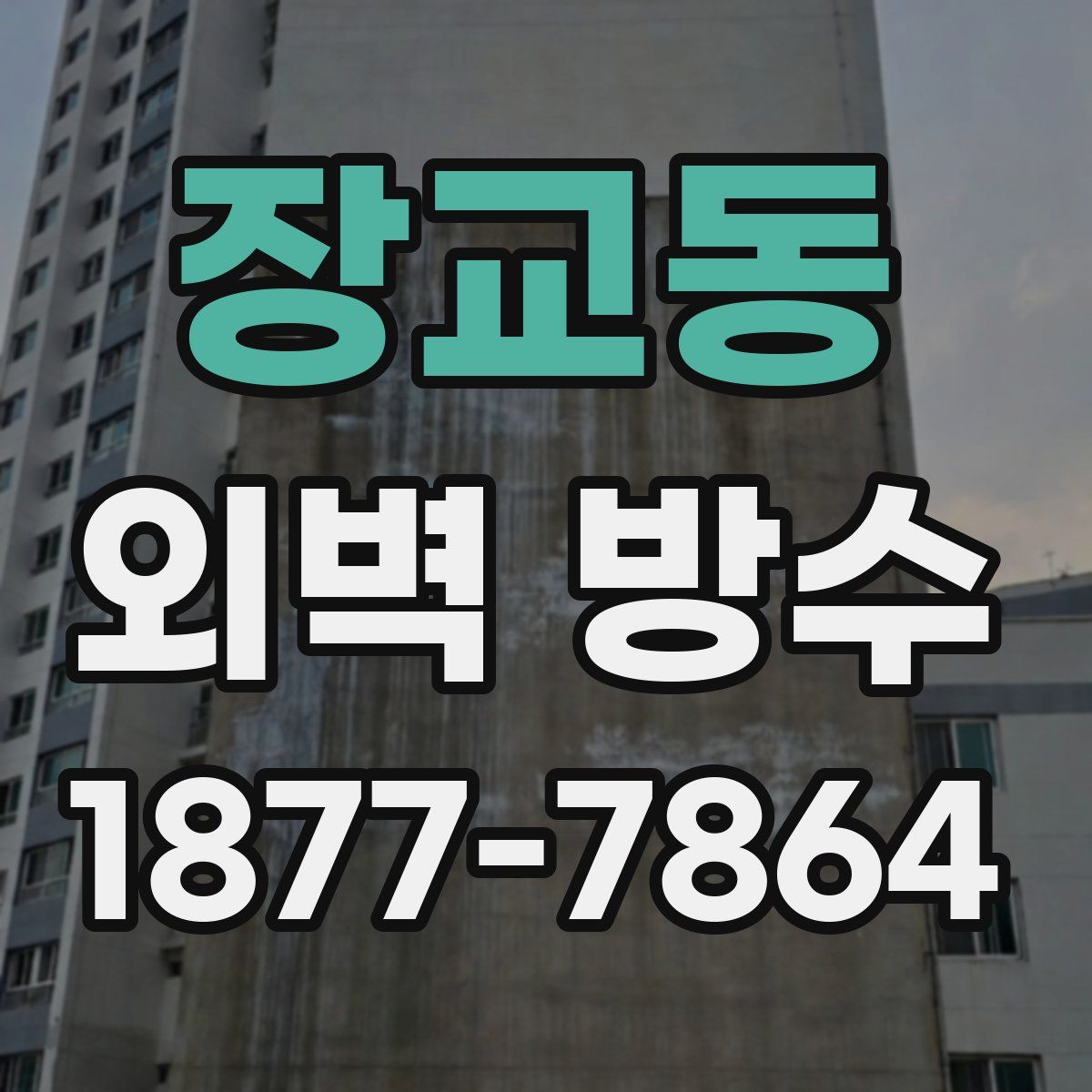 장교동 외벽 방수