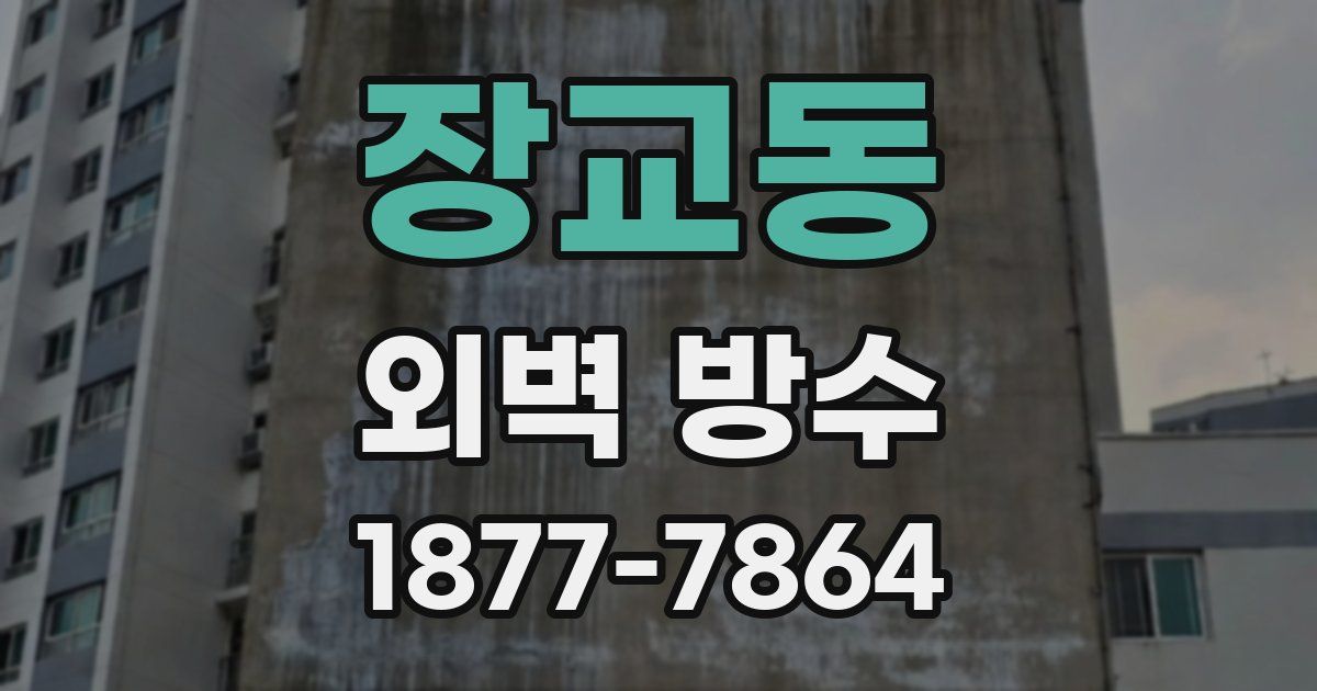 장교동 외벽 방수