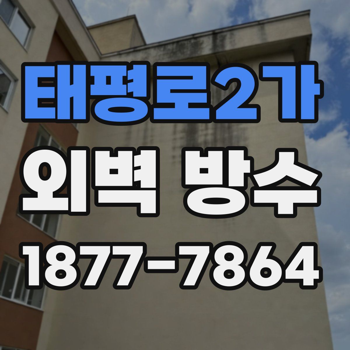 태평로2가 외벽 방수
