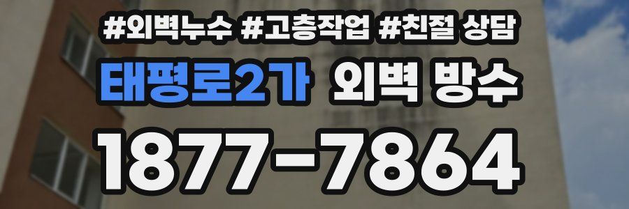 태평로2가 외벽 방수