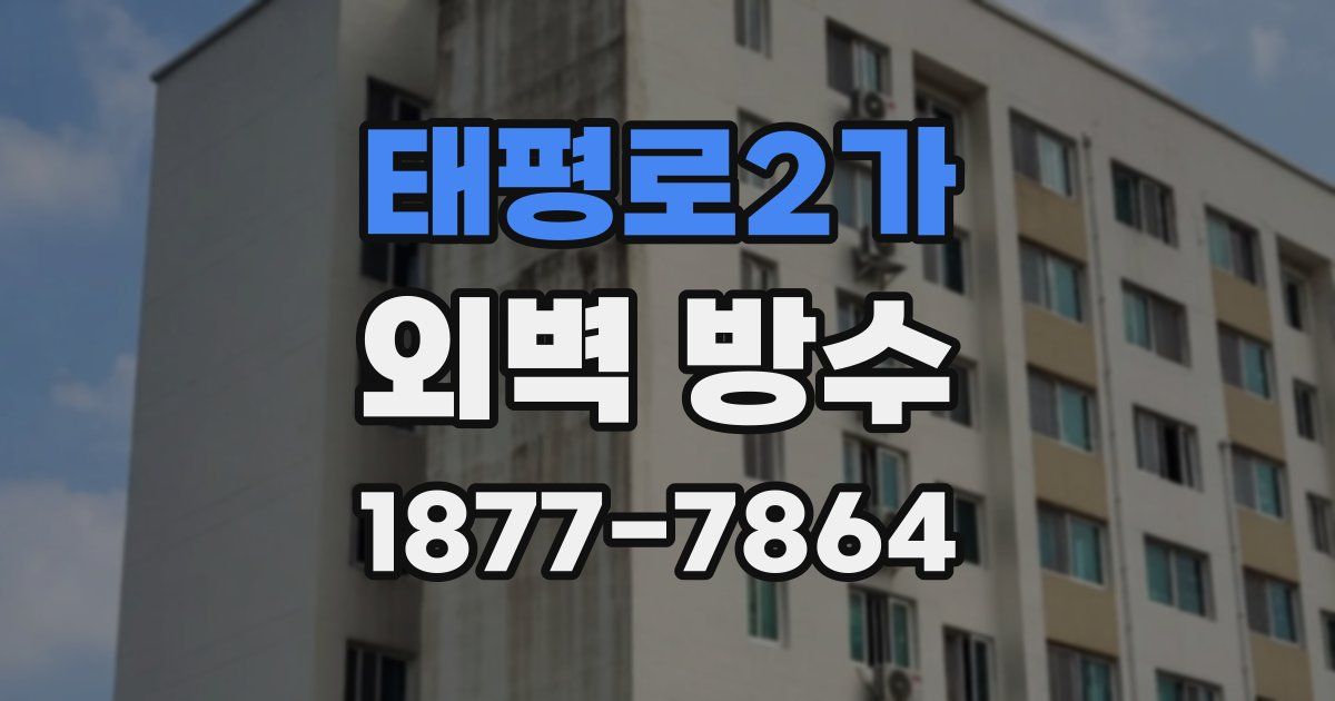 태평로2가 외벽 방수