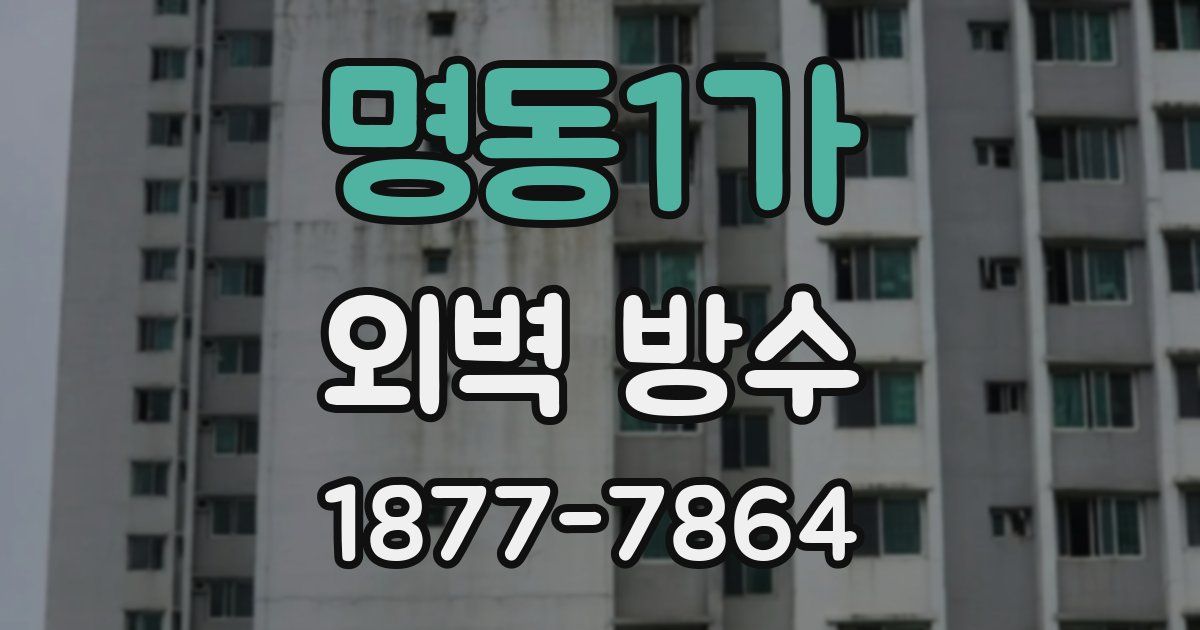 명동1가 외벽 방수