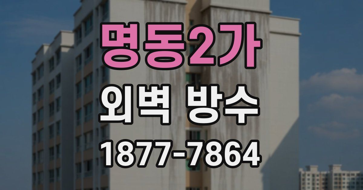명동2가 외벽 방수