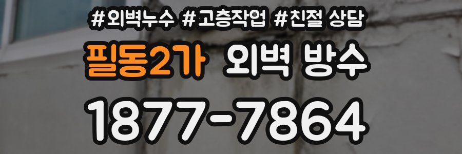필동2가 외벽 방수