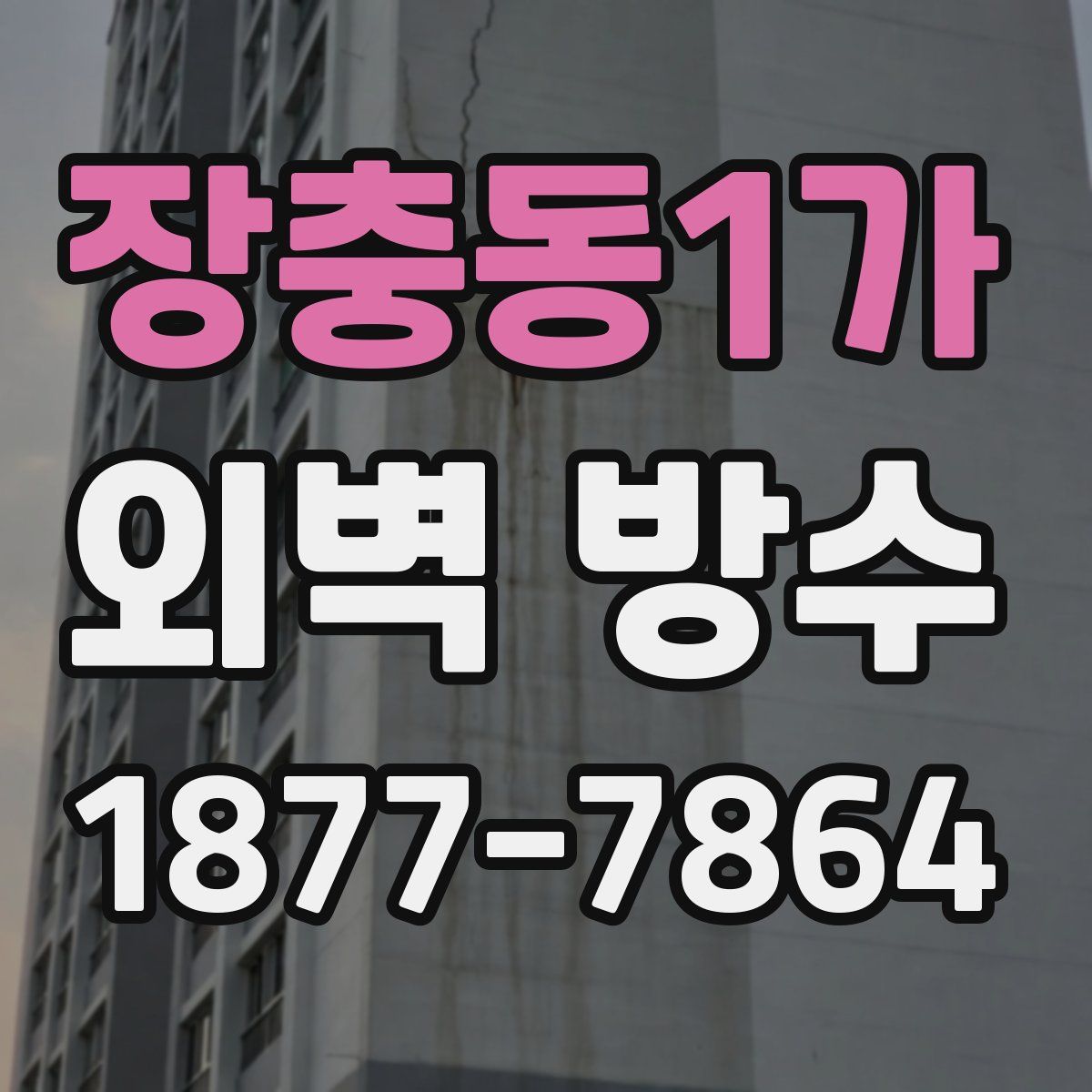 장충동1가 외벽 방수
