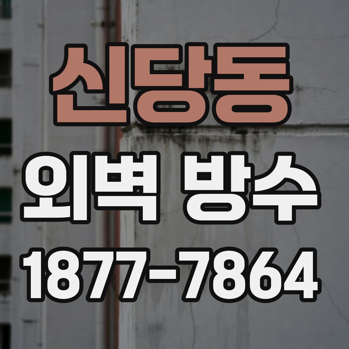 신당동 외벽 방수