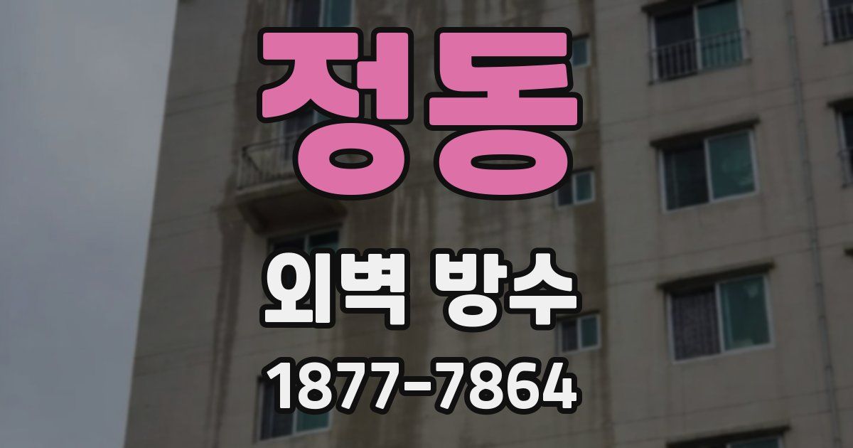 정동 외벽 방수