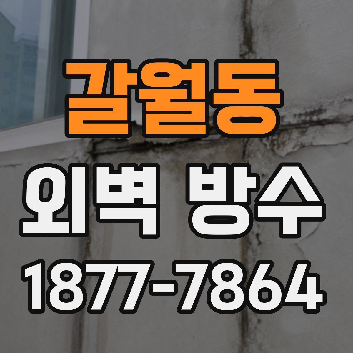 갈월동 외벽 방수