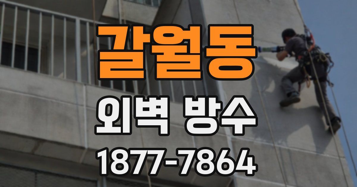 갈월동 외벽 방수