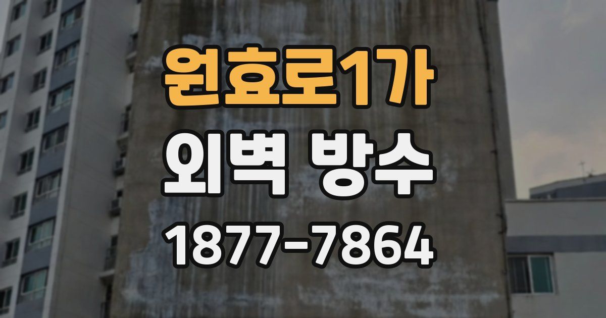 원효로1가 외벽 방수