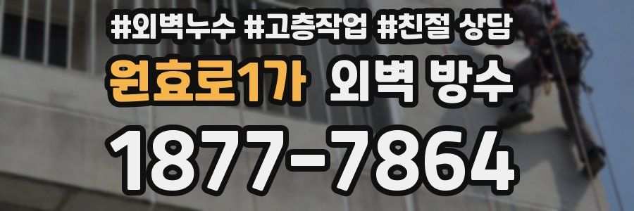 원효로1가 외벽 방수