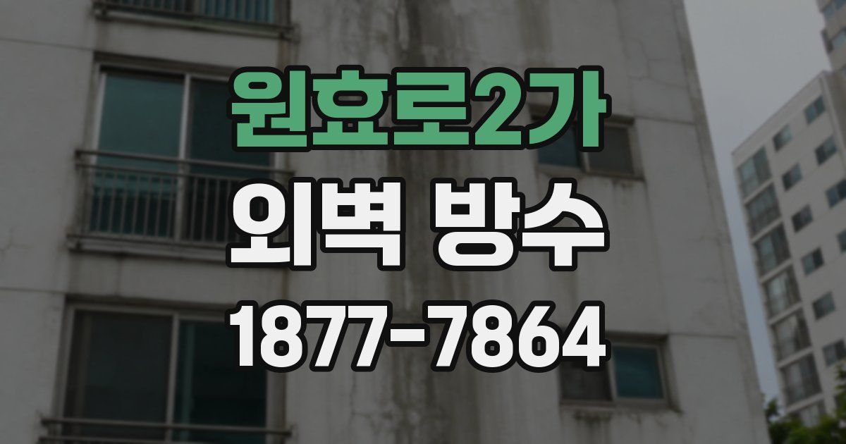 원효로2가 외벽 방수