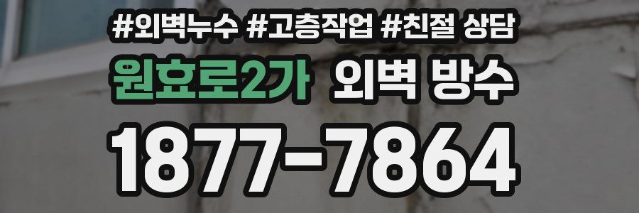 원효로2가 외벽 방수