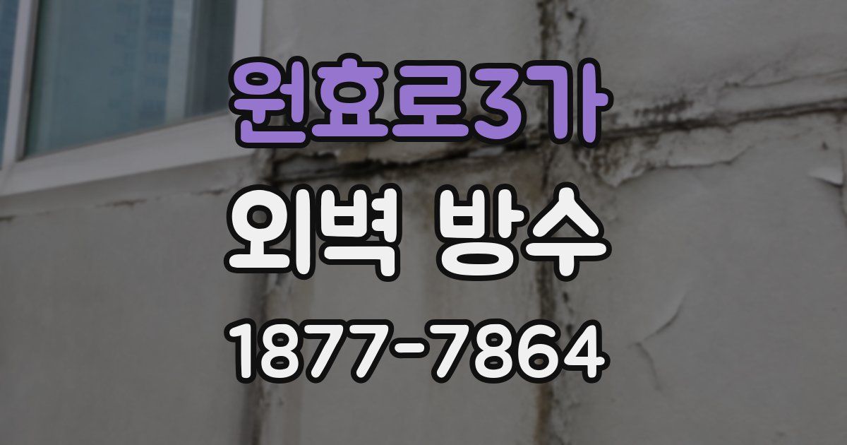 원효로3가 외벽 방수