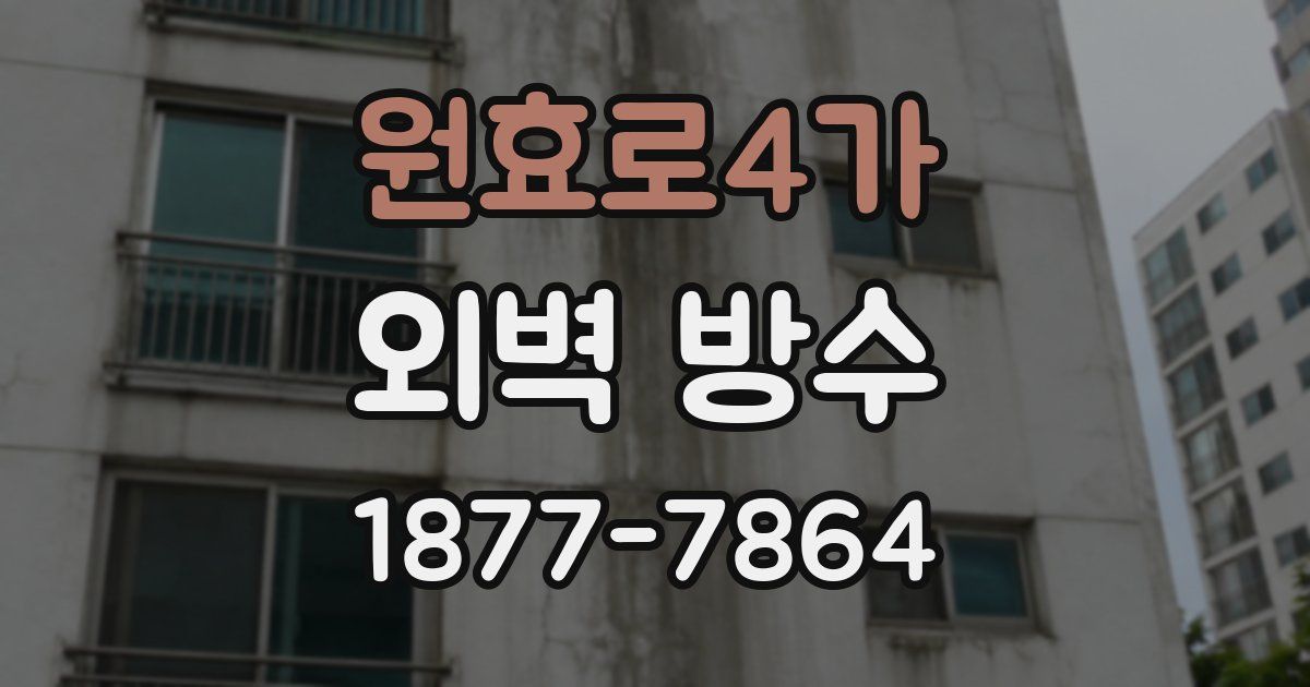 원효로4가 외벽 방수