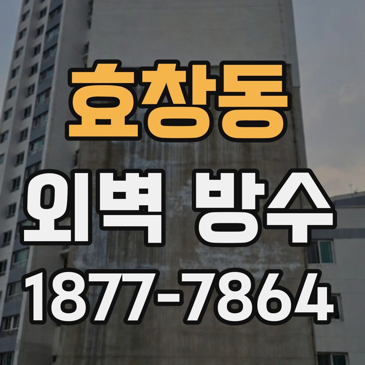 효창동 외벽 방수