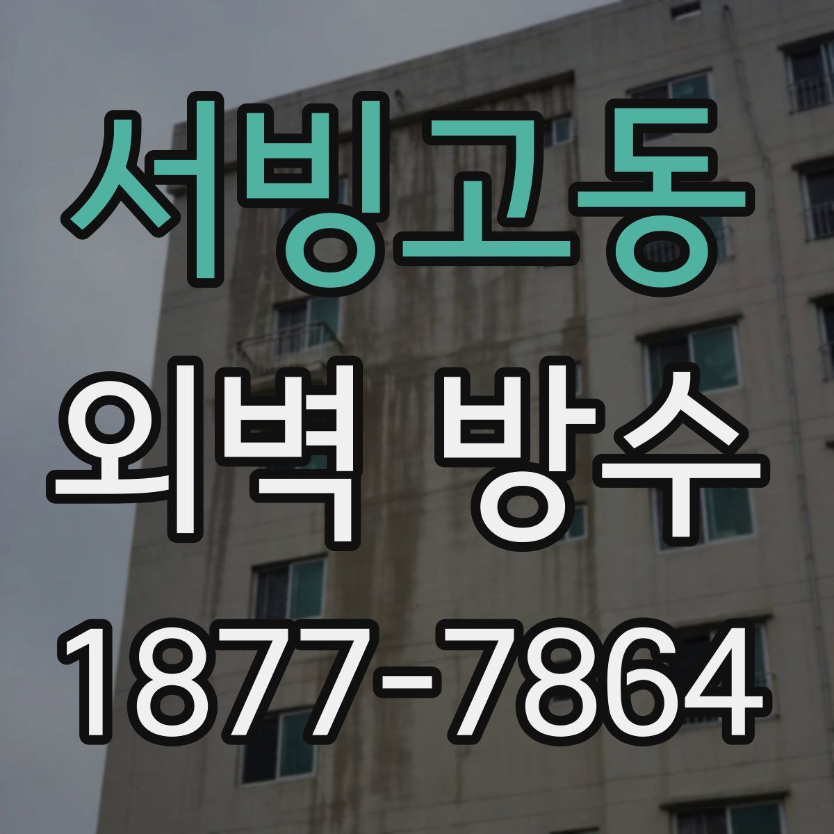 서빙고동 외벽 방수
