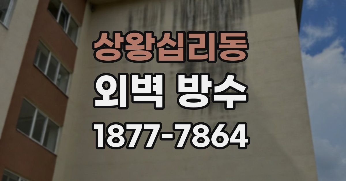상왕십리동 외벽 방수