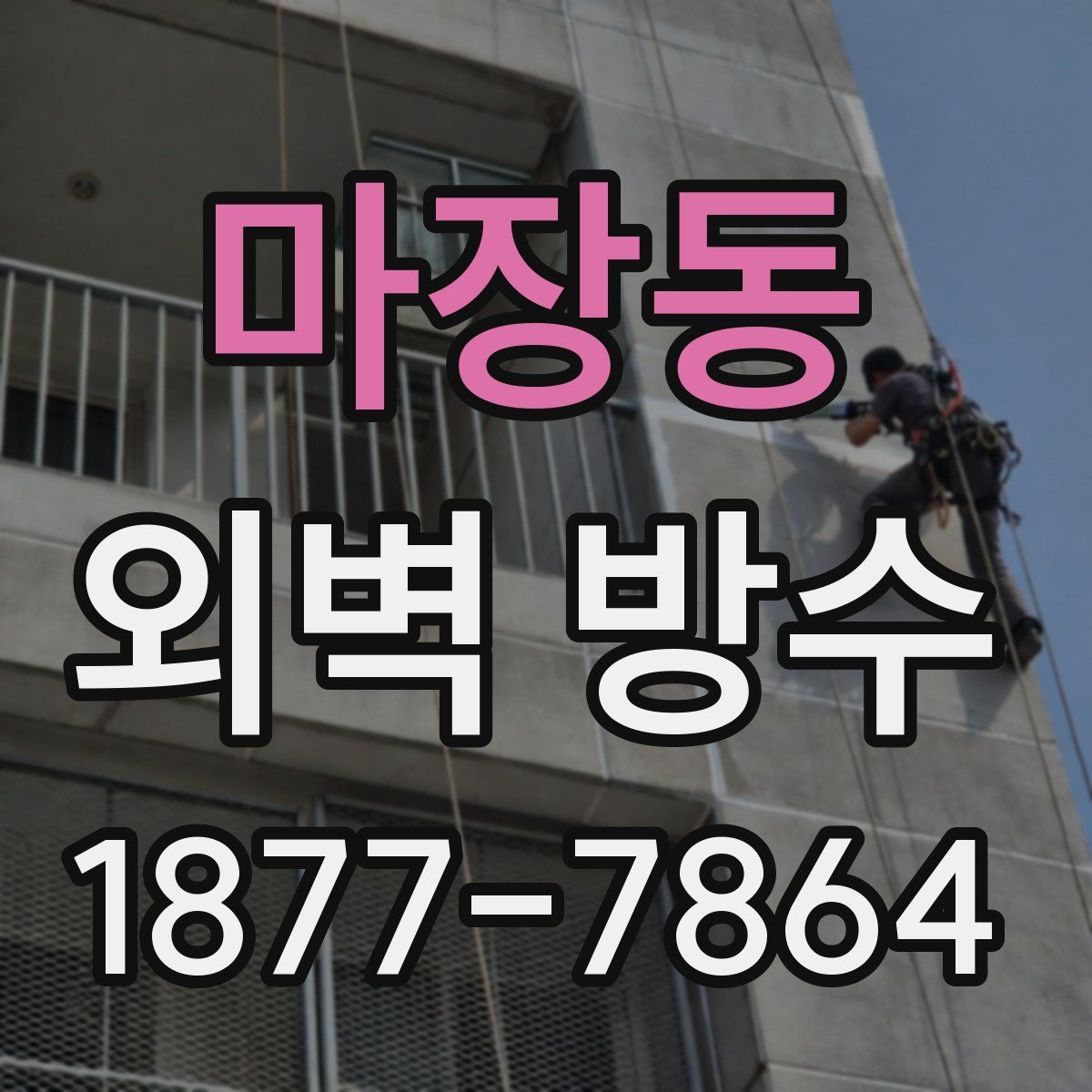 마장동 외벽 방수