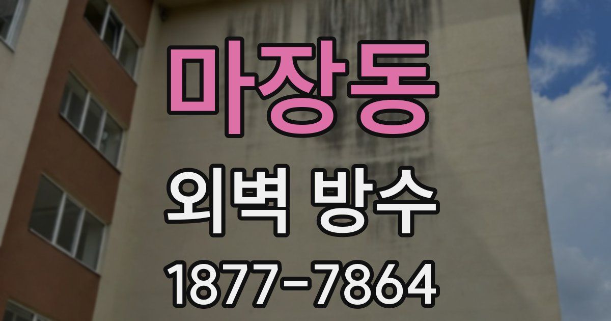 마장동 외벽 방수