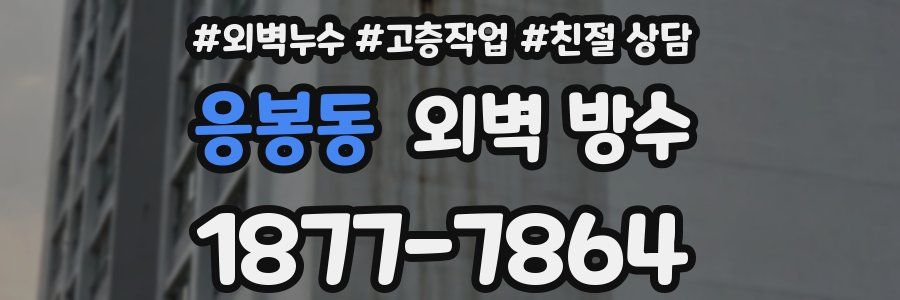 응봉동 외벽 방수