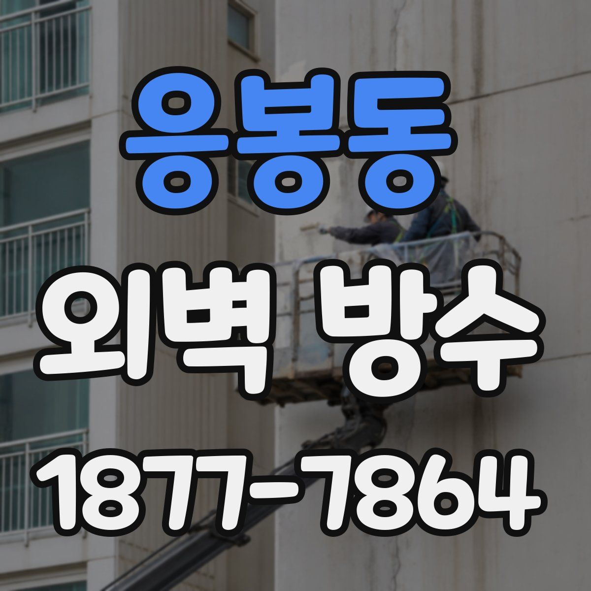 응봉동 외벽 방수