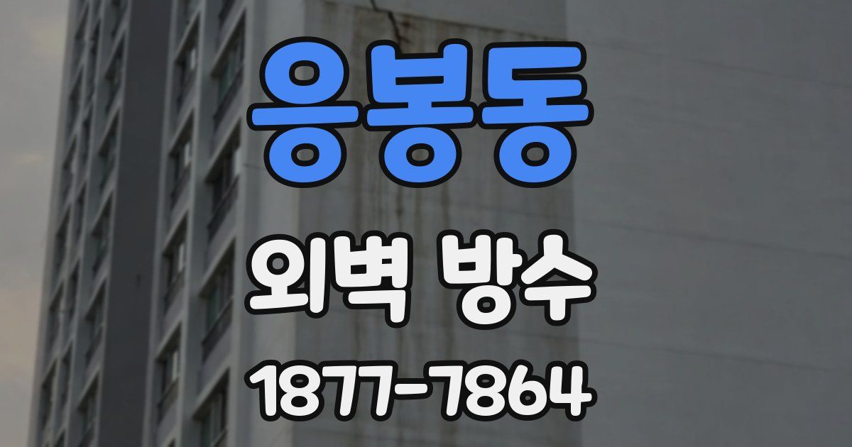 응봉동 외벽 방수