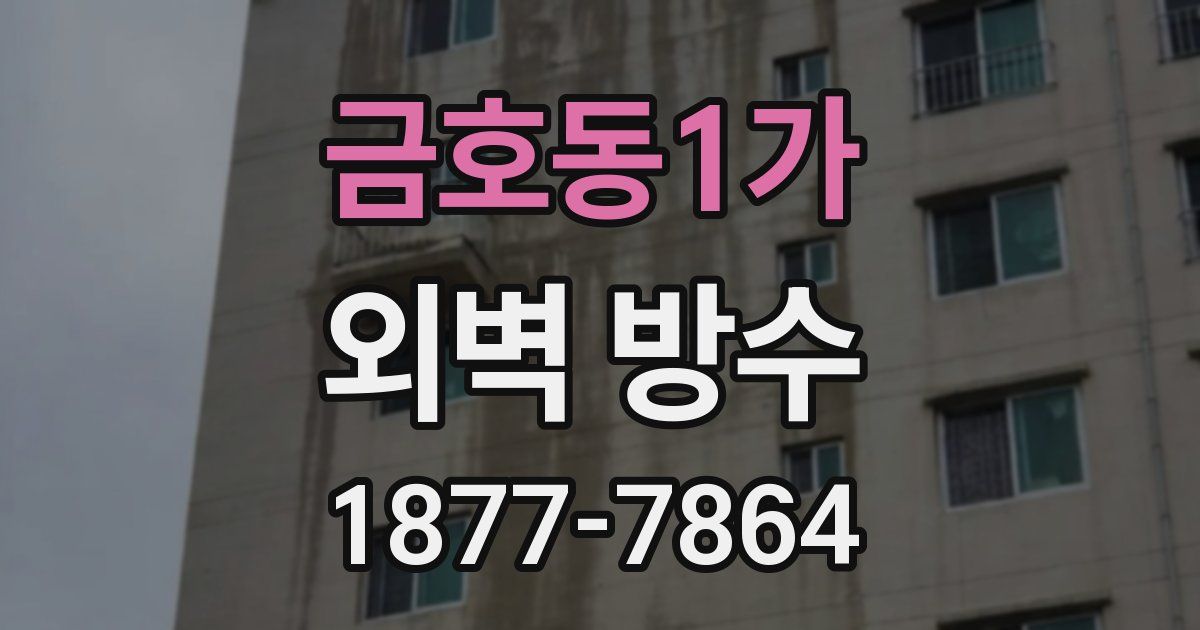 금호동1가 외벽 방수