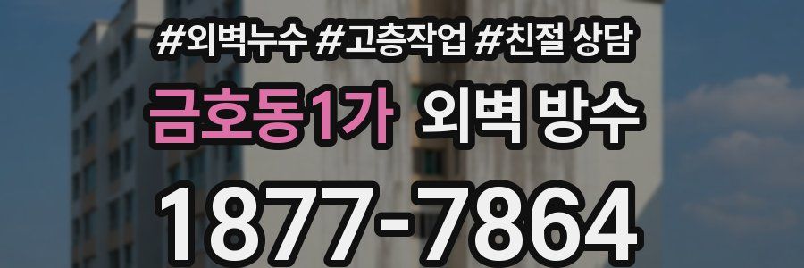 금호동1가 외벽 방수