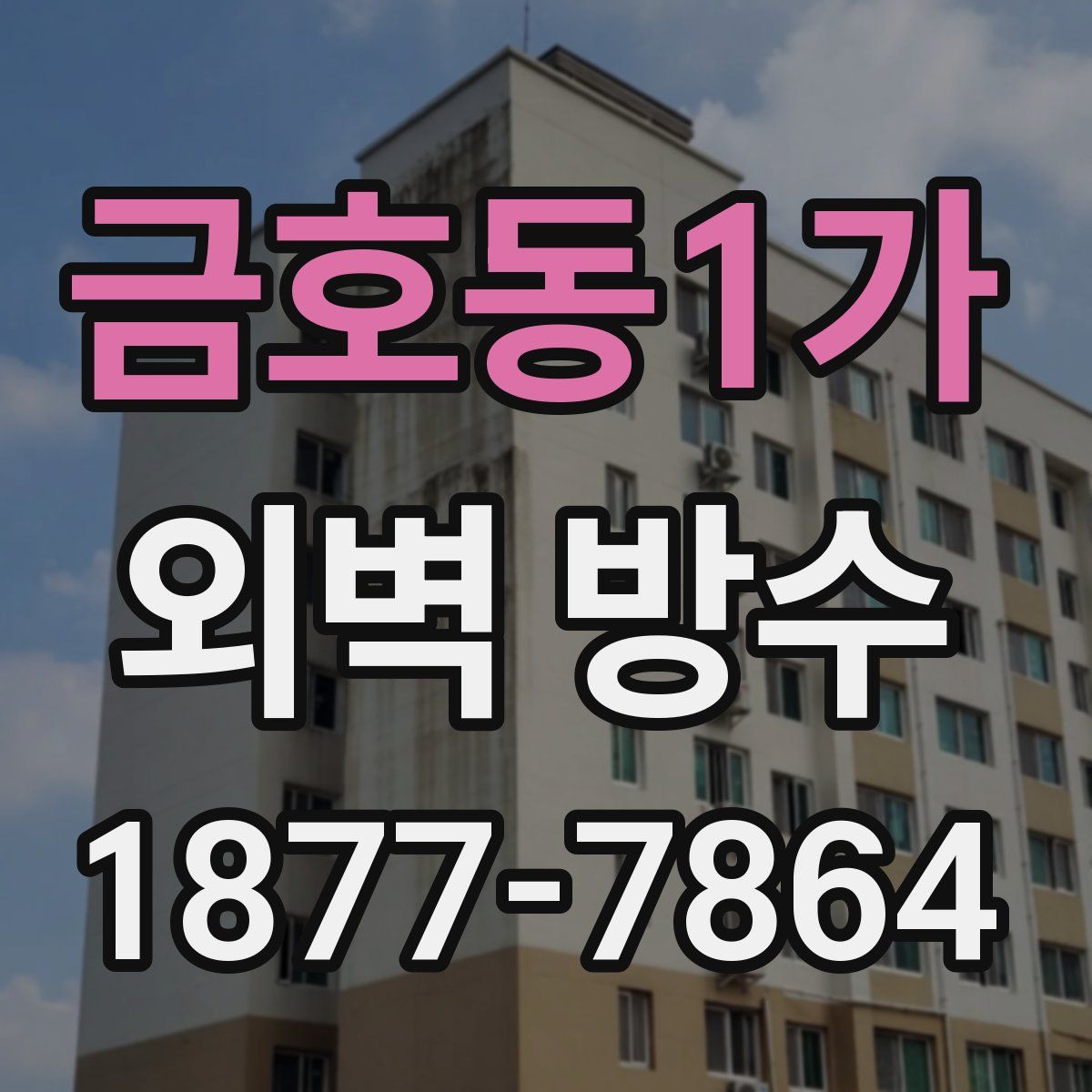 금호동1가 외벽 방수
