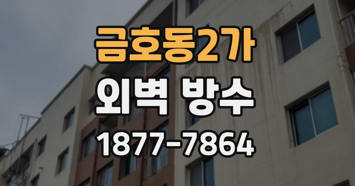 금호동2가 외벽 방수