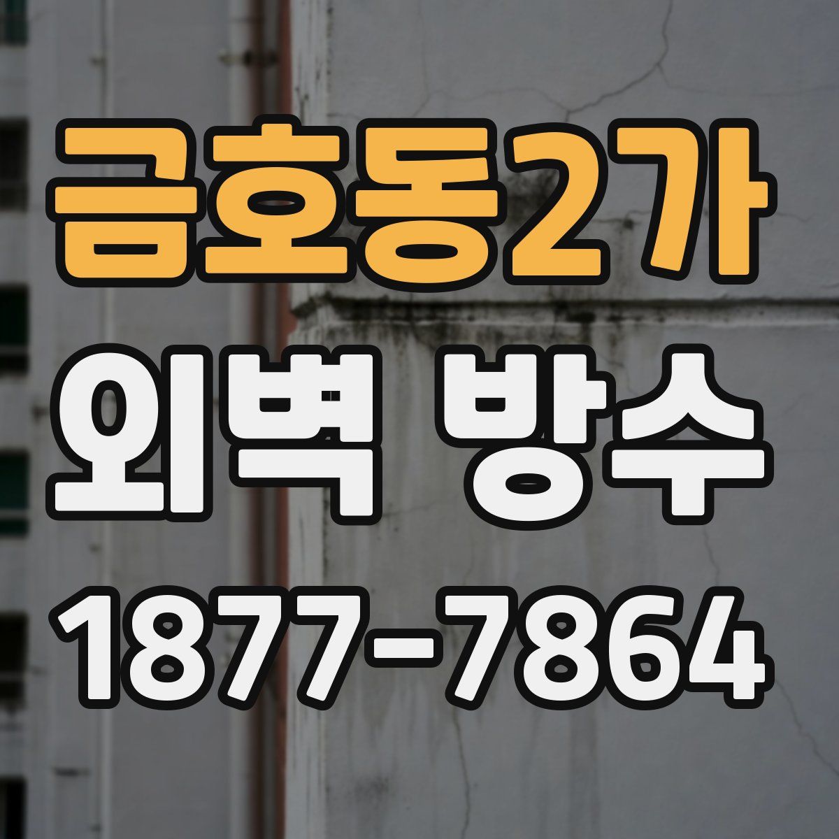 금호동2가 외벽 방수