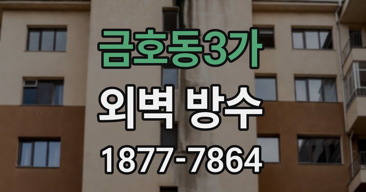 금호동3가 외벽 방수