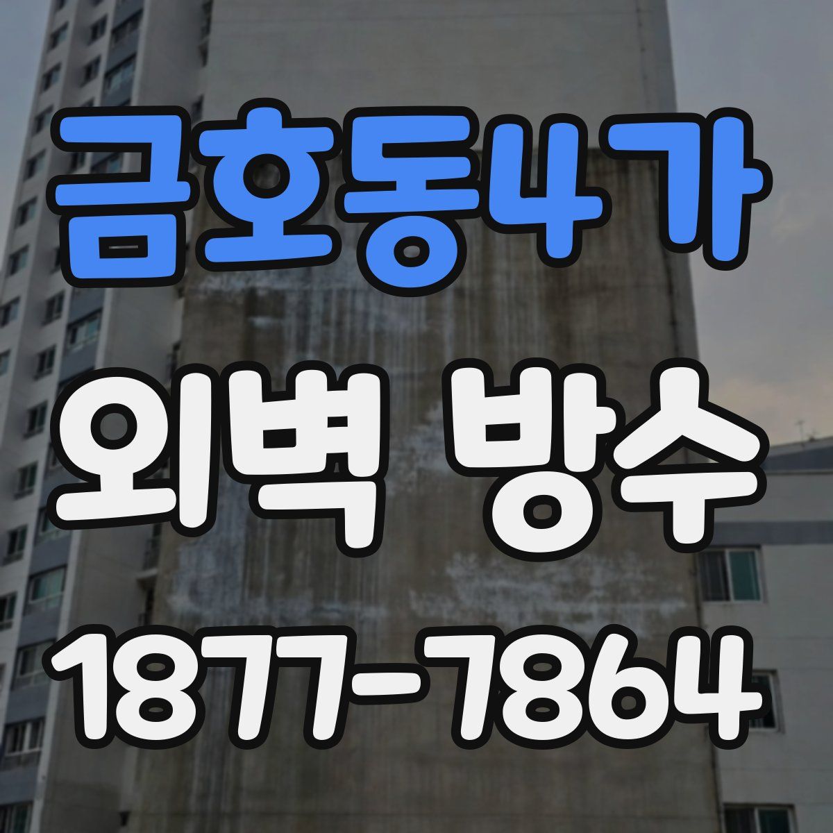 금호동4가 외벽 방수