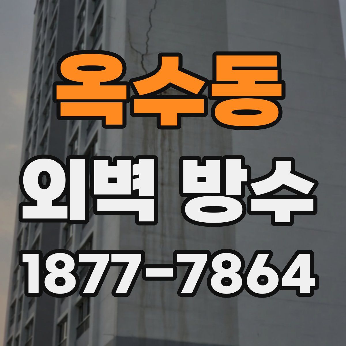 옥수동 외벽 방수
