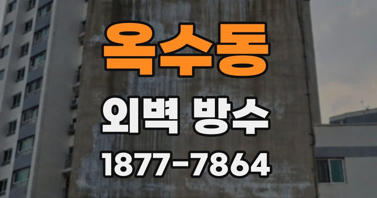 옥수동 외벽 방수