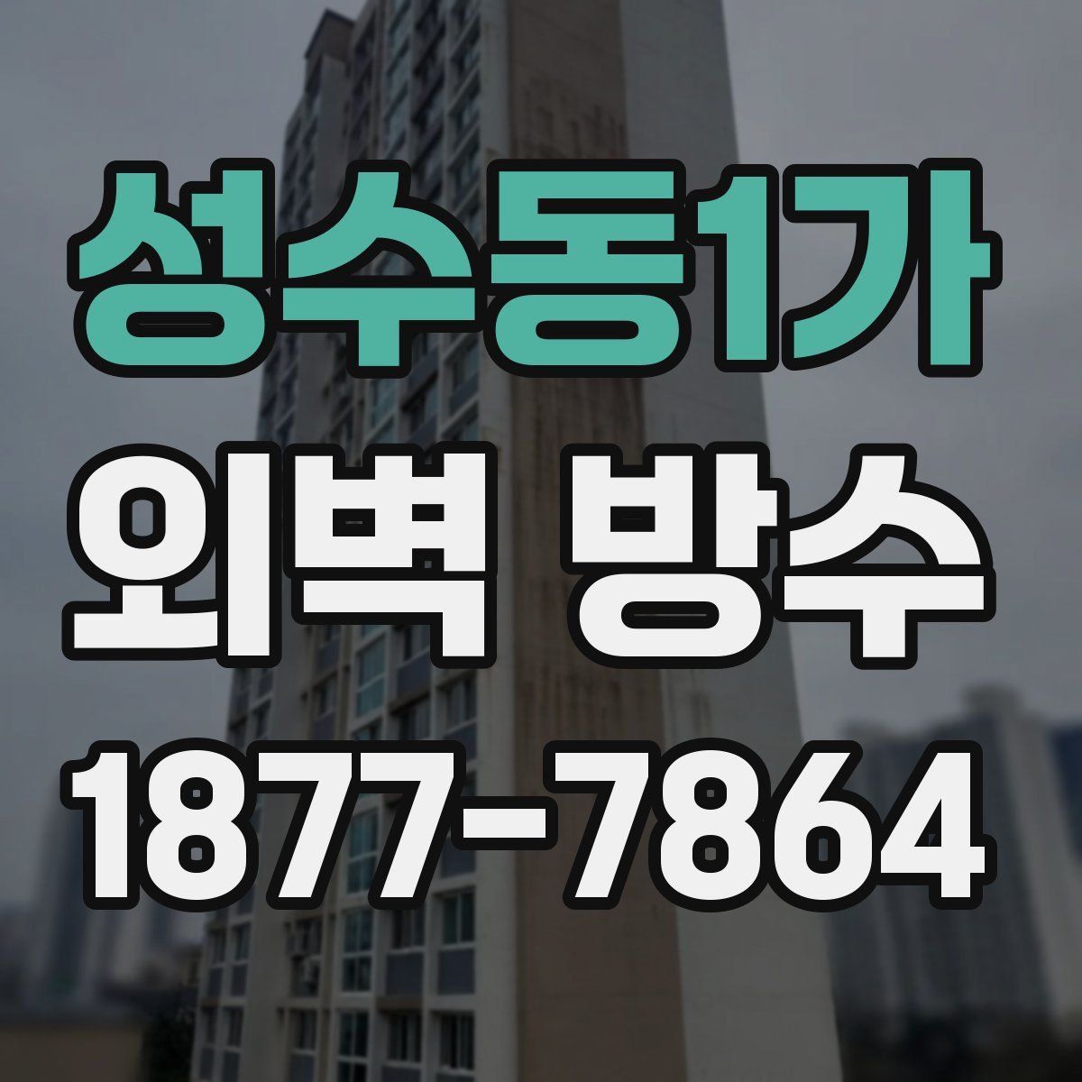 성수동1가 외벽 방수