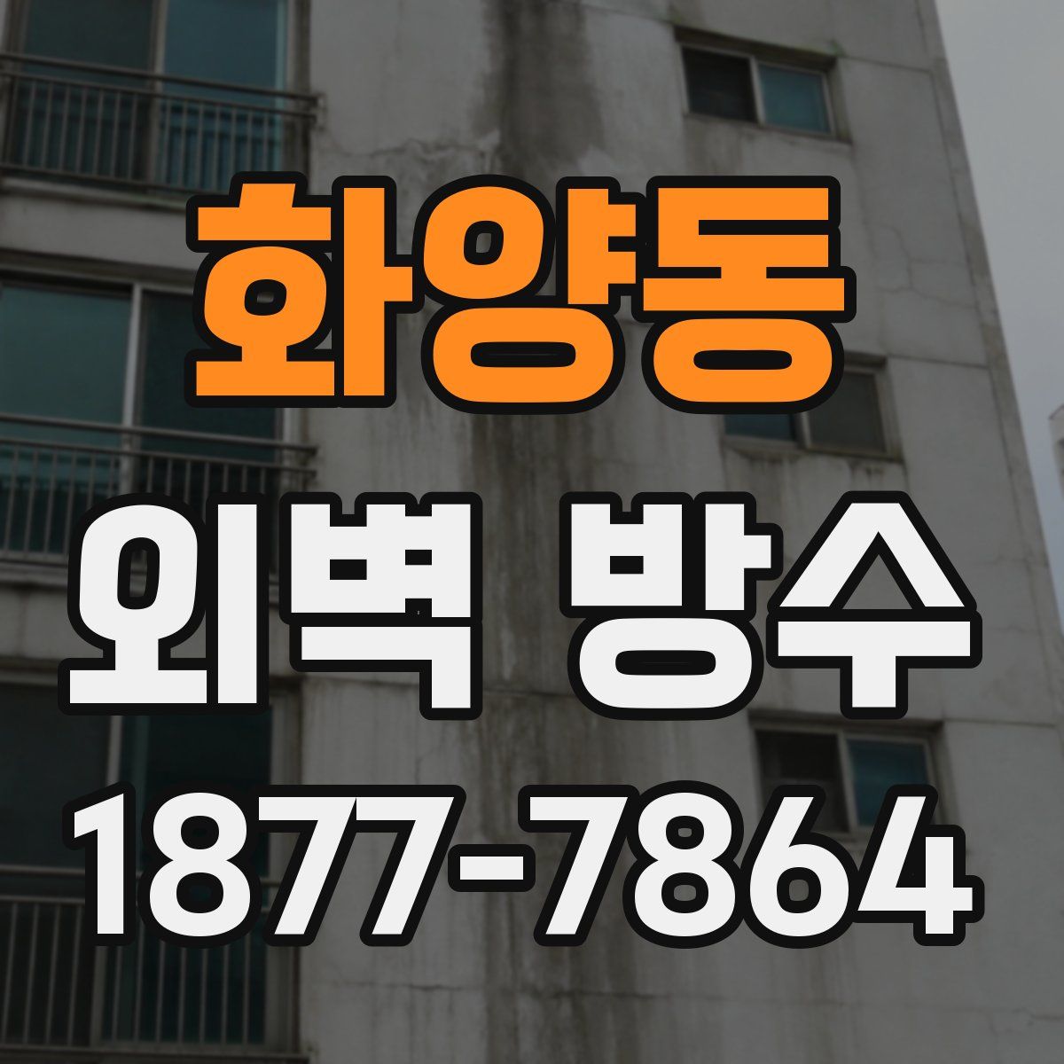 화양동 외벽 방수