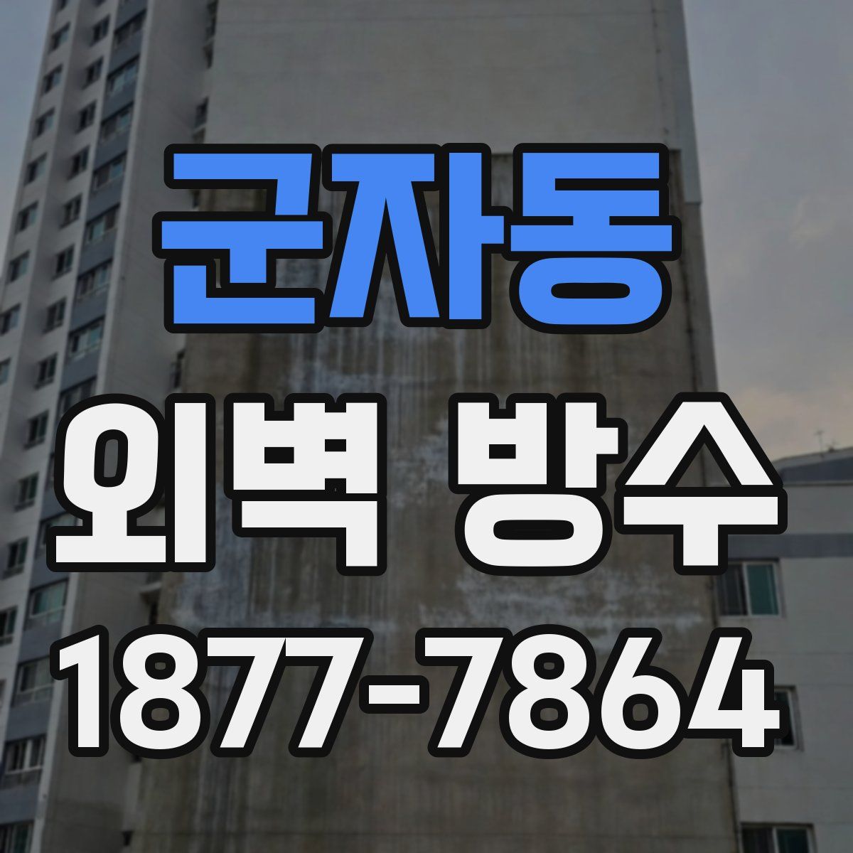 군자동 외벽 방수