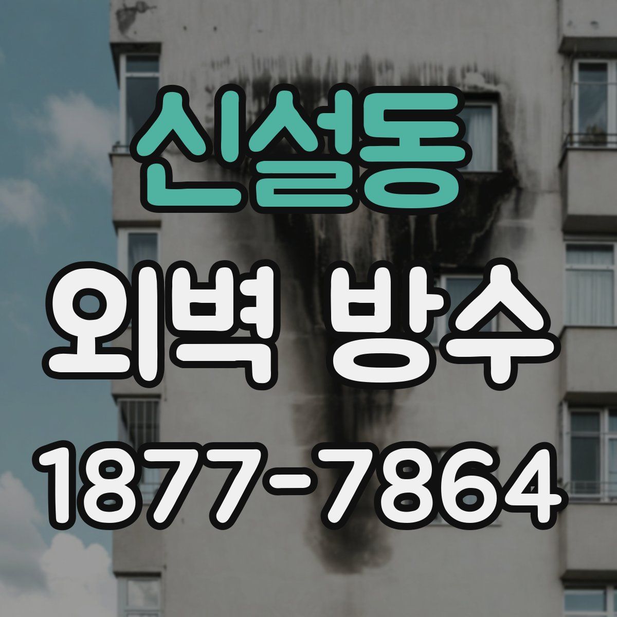 신설동 외벽 방수