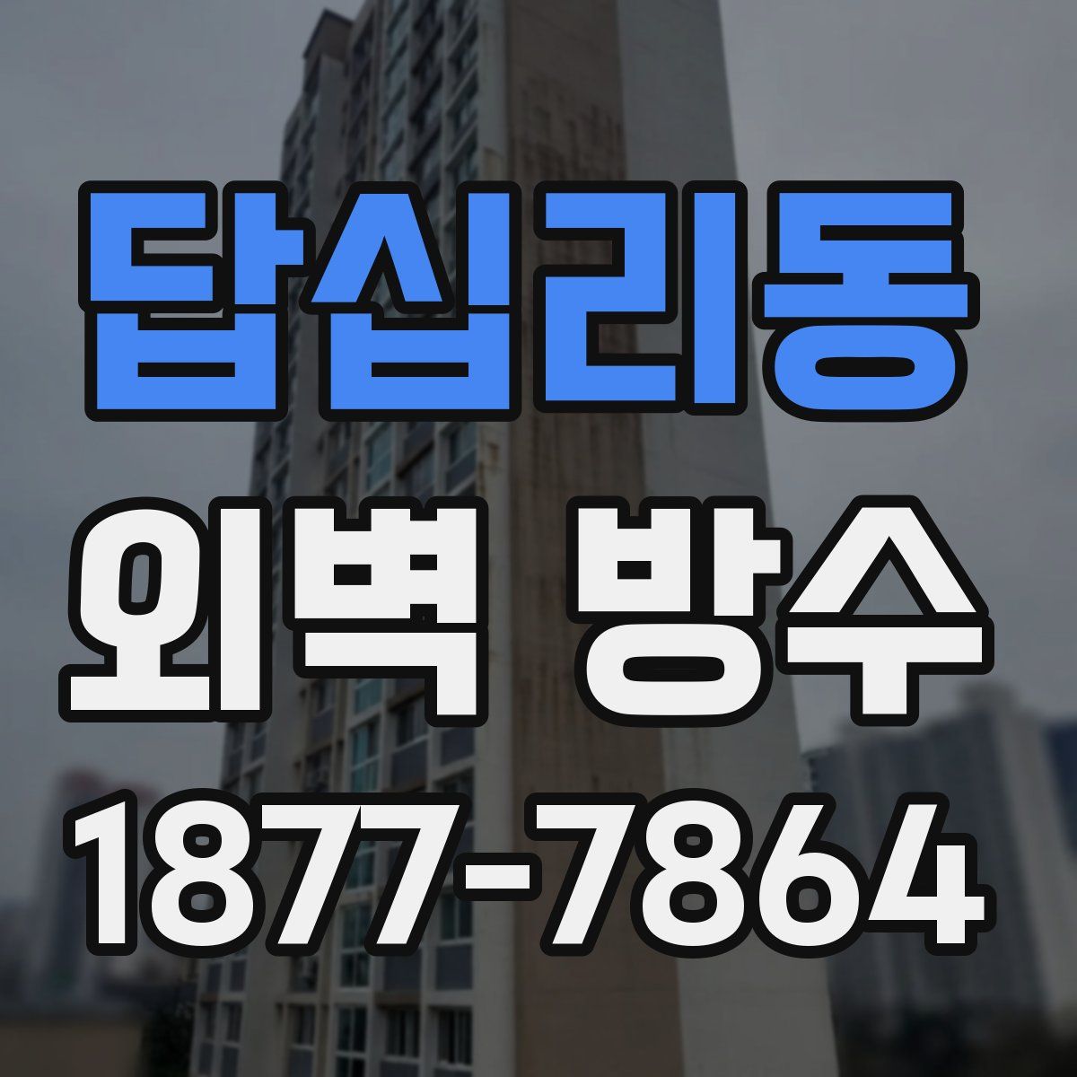 답십리동 외벽 방수
